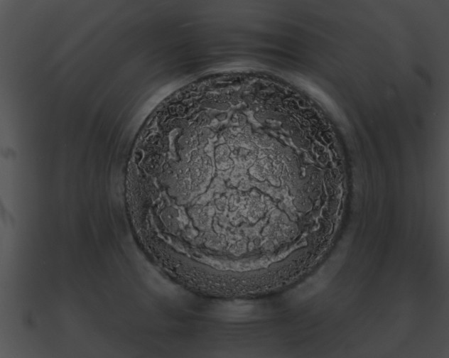 X0000090861329200708030939