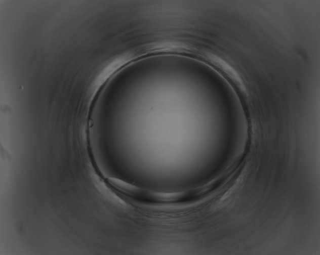 X0000090861330200708030939