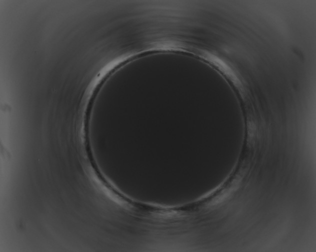 X0000090861331200708030939