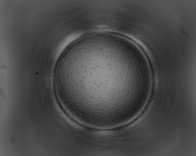 X0000090861333200708030939