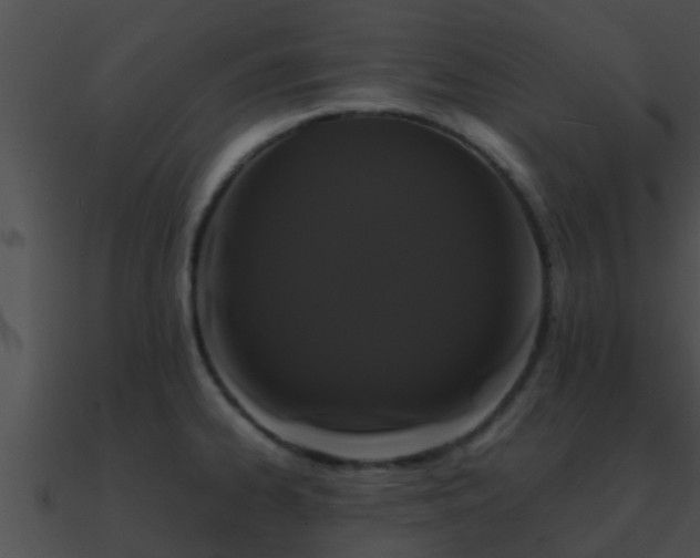 X0000090861334200708030939