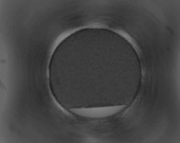 X0000090861335200708030939
