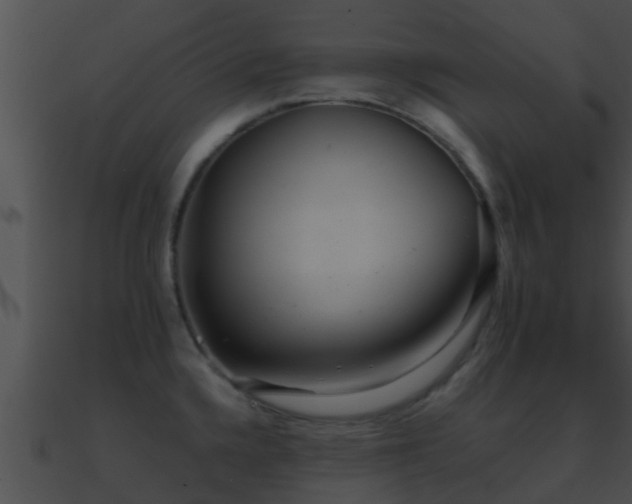 X0000090861336200708030939