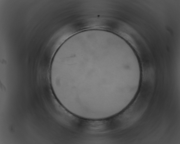 X0000090861338200708030939