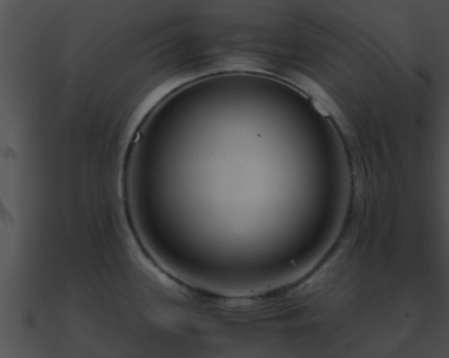 X0000090861339200708030939