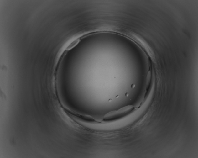 X0000090861340200708030939