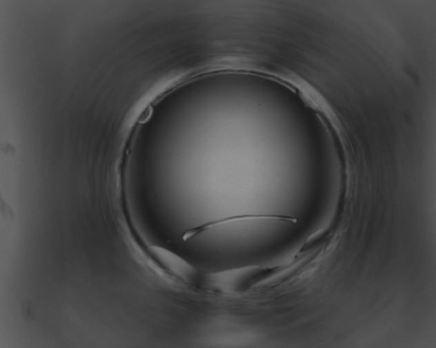 X0000090861341200708030939