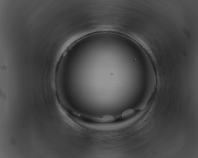 X0000090861342200708030939