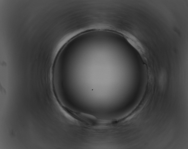 X0000090861343200708030939