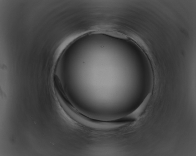 X0000090861344200708030939
