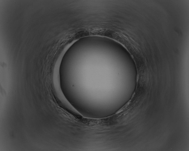 X0000090861345200708030939