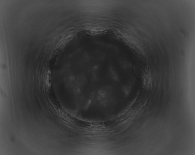 X0000090861346200708030939