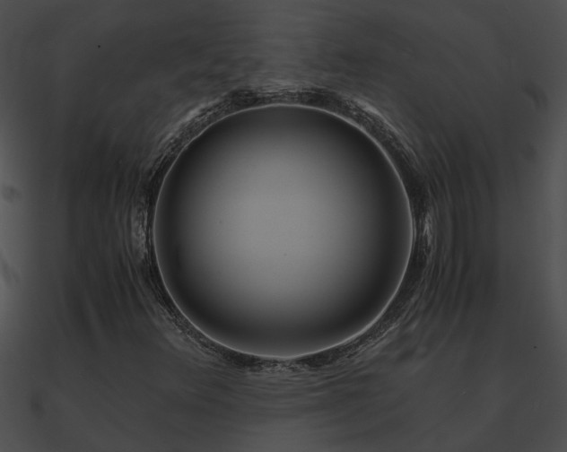 X0000090861348200708030939