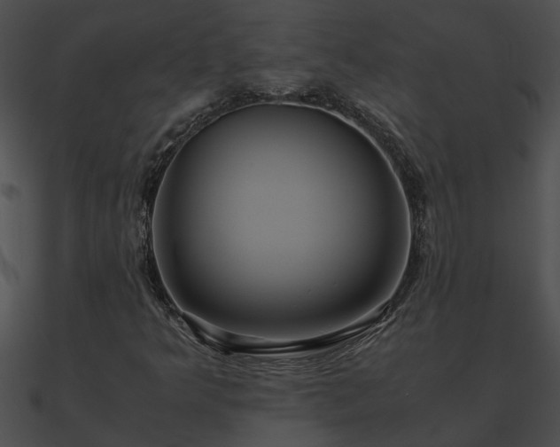 X0000090861349200708030939