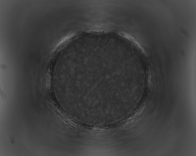 X0000090861350200708030939
