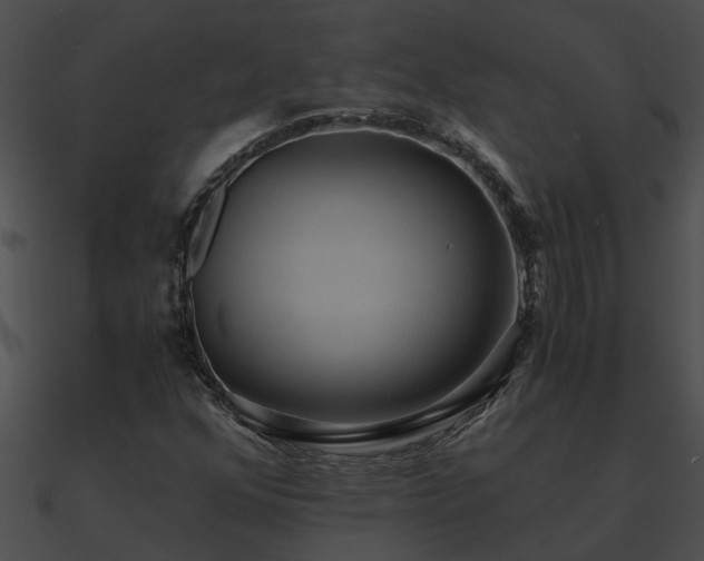 X0000090861352200708030939