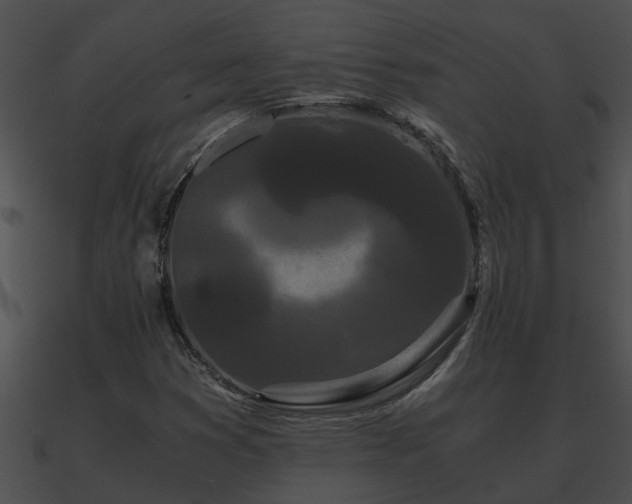 X0000090861353200708030939