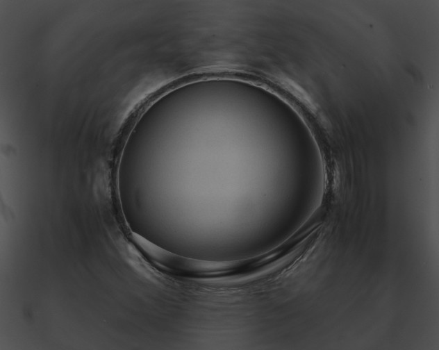 X0000090861356200708030939