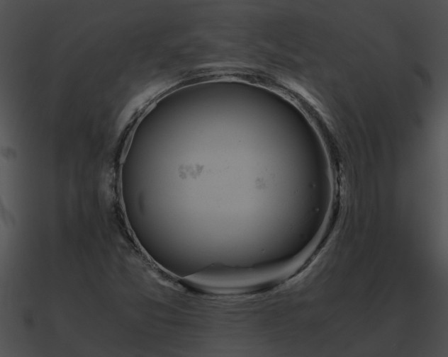 X0000090861357200708030939