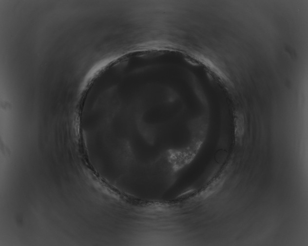 X0000090861358200708030939