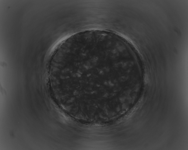 X0000090861359200708030939