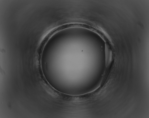 X0000090861360200708030939