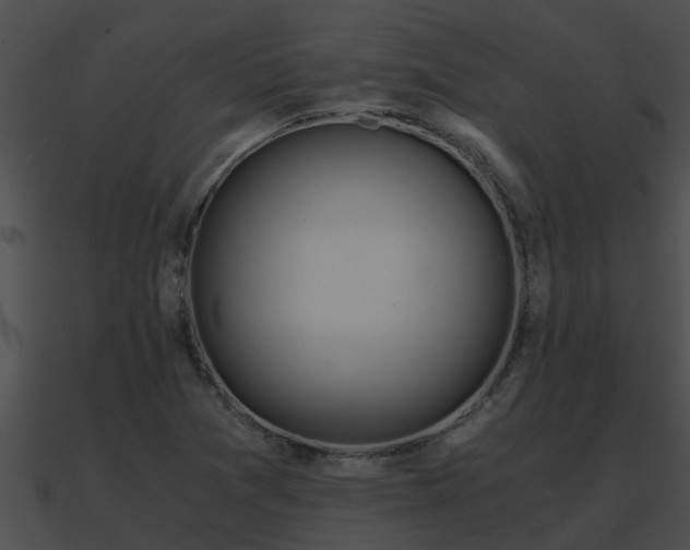 X0000090861361200708030939