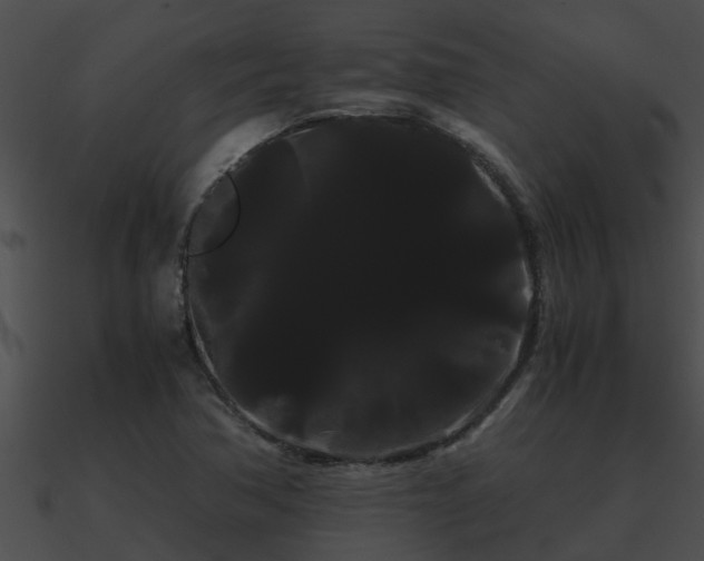 X0000090861362200708030939