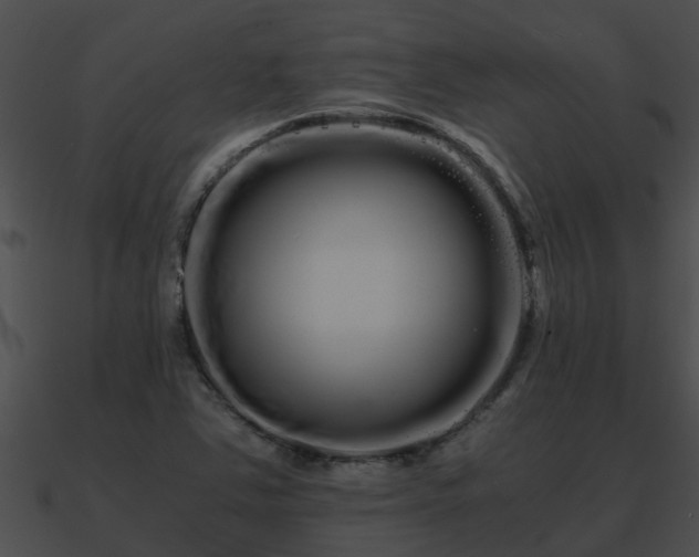 X0000090861363200708030939