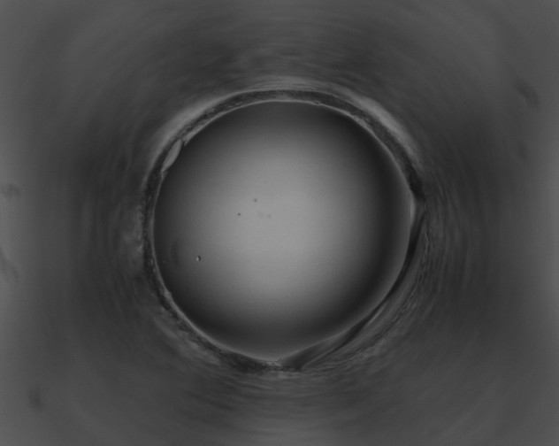 X0000090861364200708030939