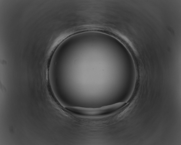X0000090861365200708030939