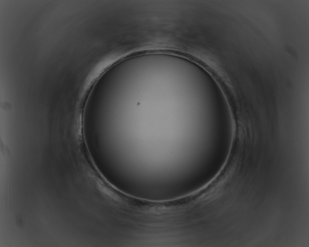 X0000090861366200708030938