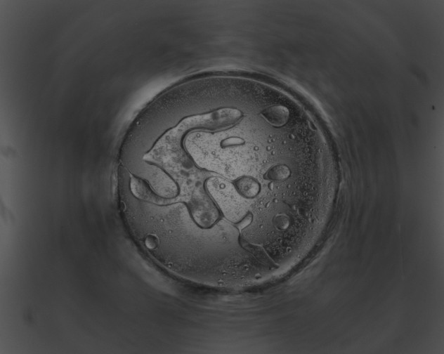 X0000090861367200708030938