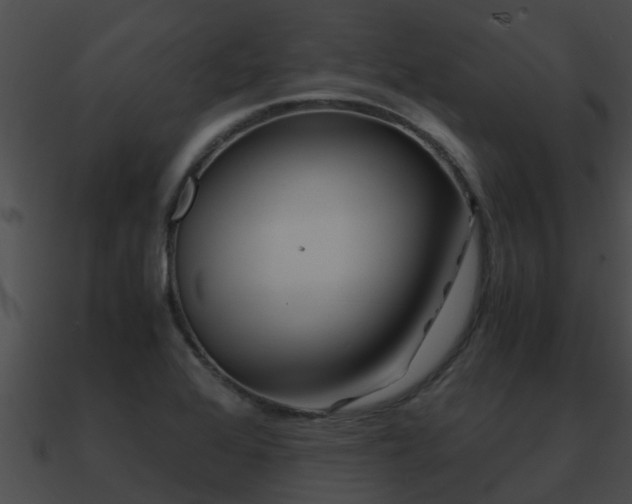 X0000090861368200708030938