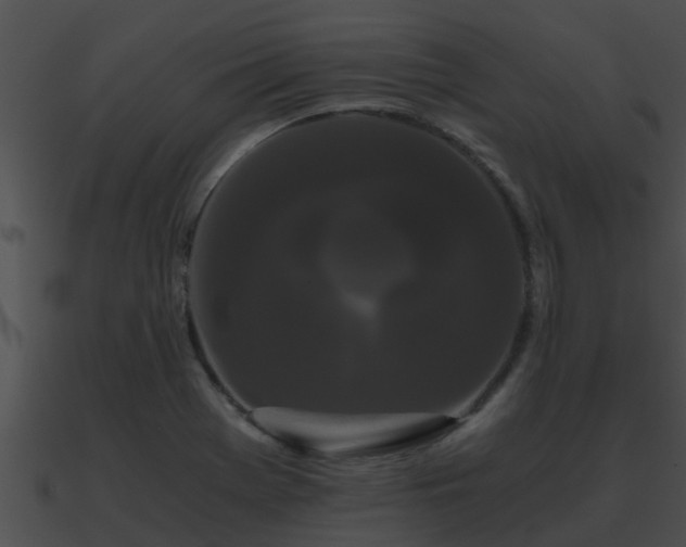 X0000090861369200708030938
