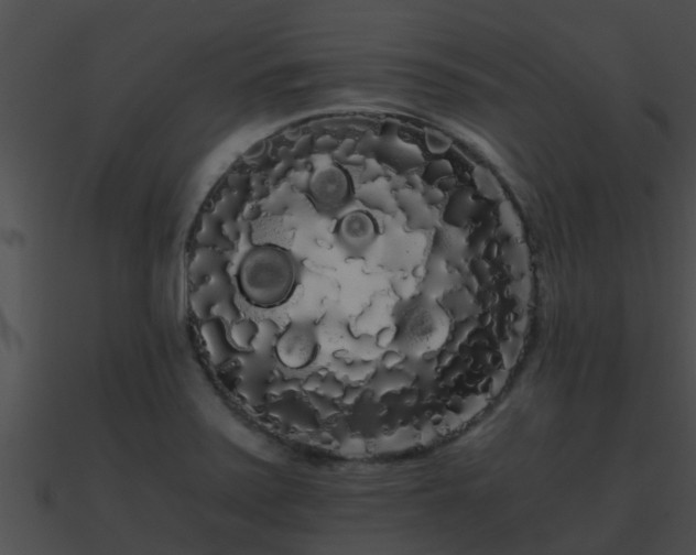 X0000090861371200708030938