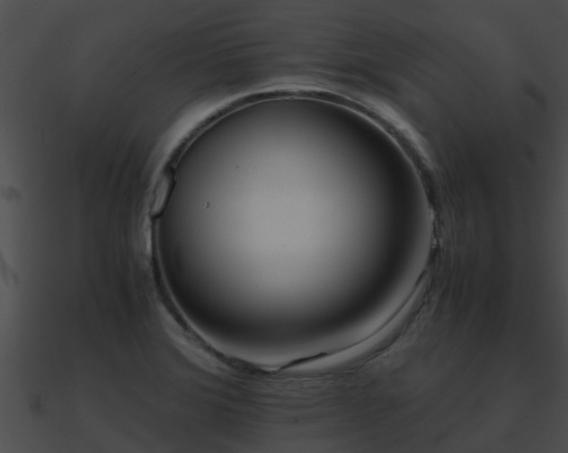 X0000090861372200708030938