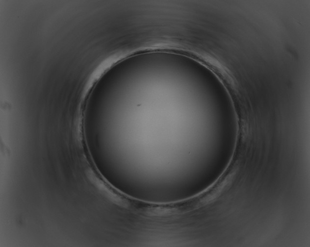 X0000090861374200708030938