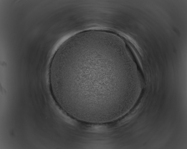X0000090861375200708030938