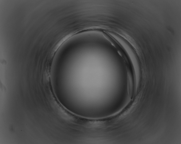 X0000090861377200708030938