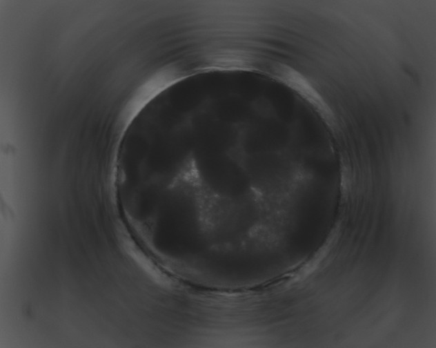 X0000090861378200708030938