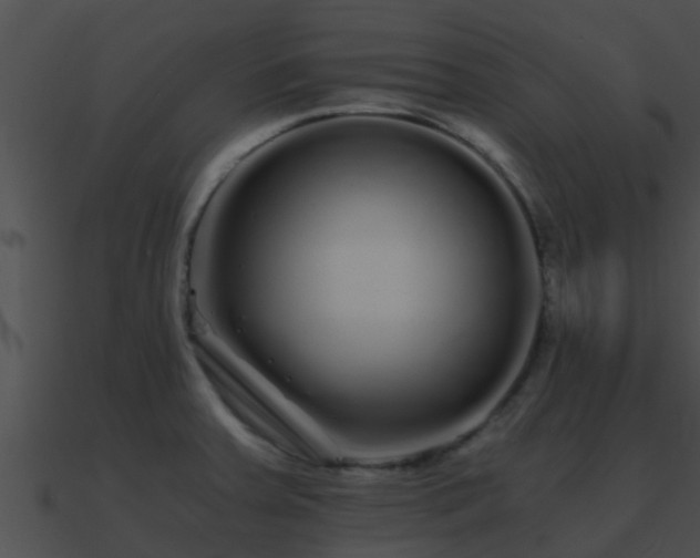 X0000090861379200708030938