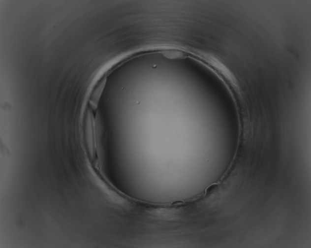 X0000090861380200708030938