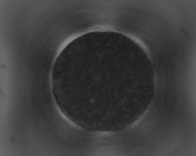 X0000090861382200708030938
