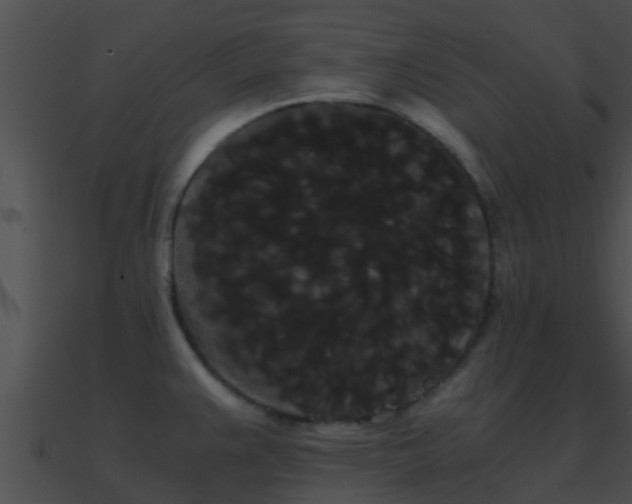 X0000090861383200708030938