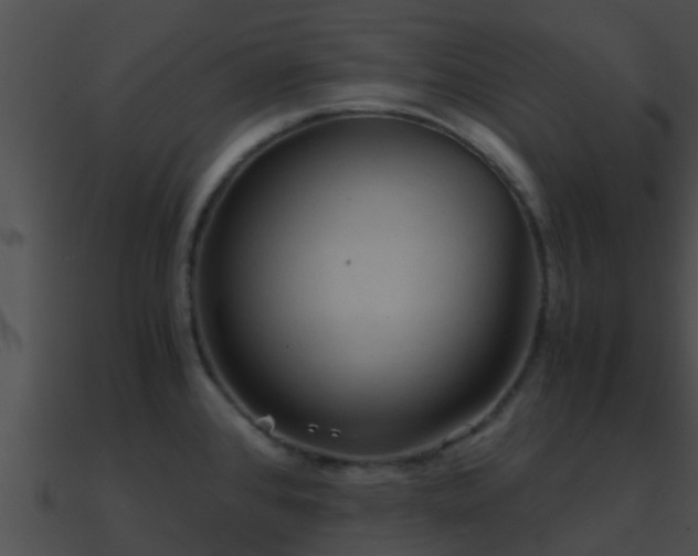 X0000090861384200708030938