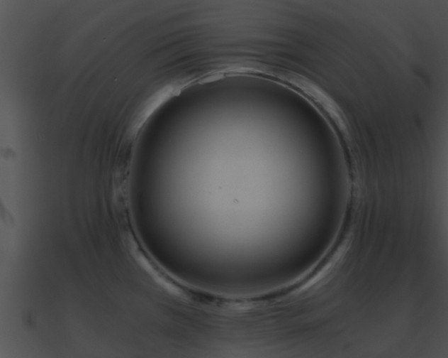 X0000090861385200708030938