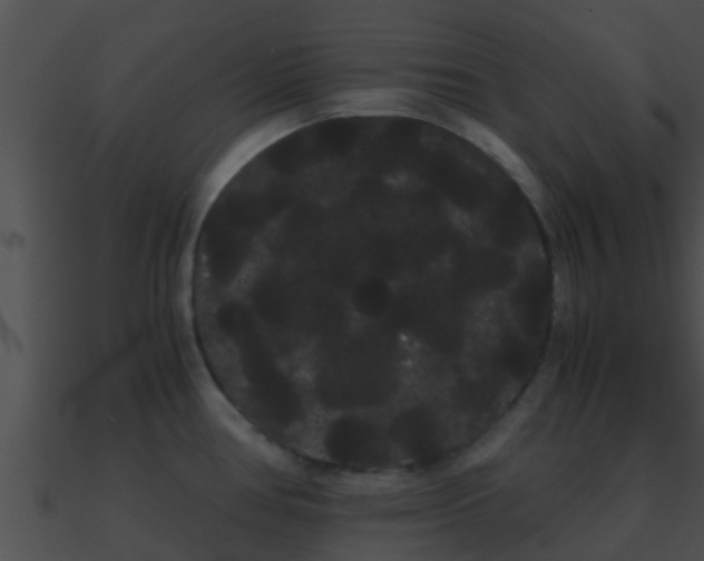 X0000090861386200708030938