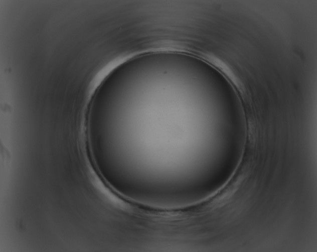 X0000090861387200708030938