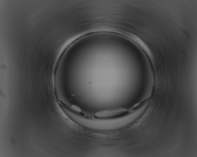 X0000090861388200708030938